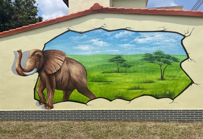 3D墙绘|非洲象