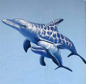3D墙绘|海豚